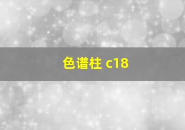 色谱柱 c18